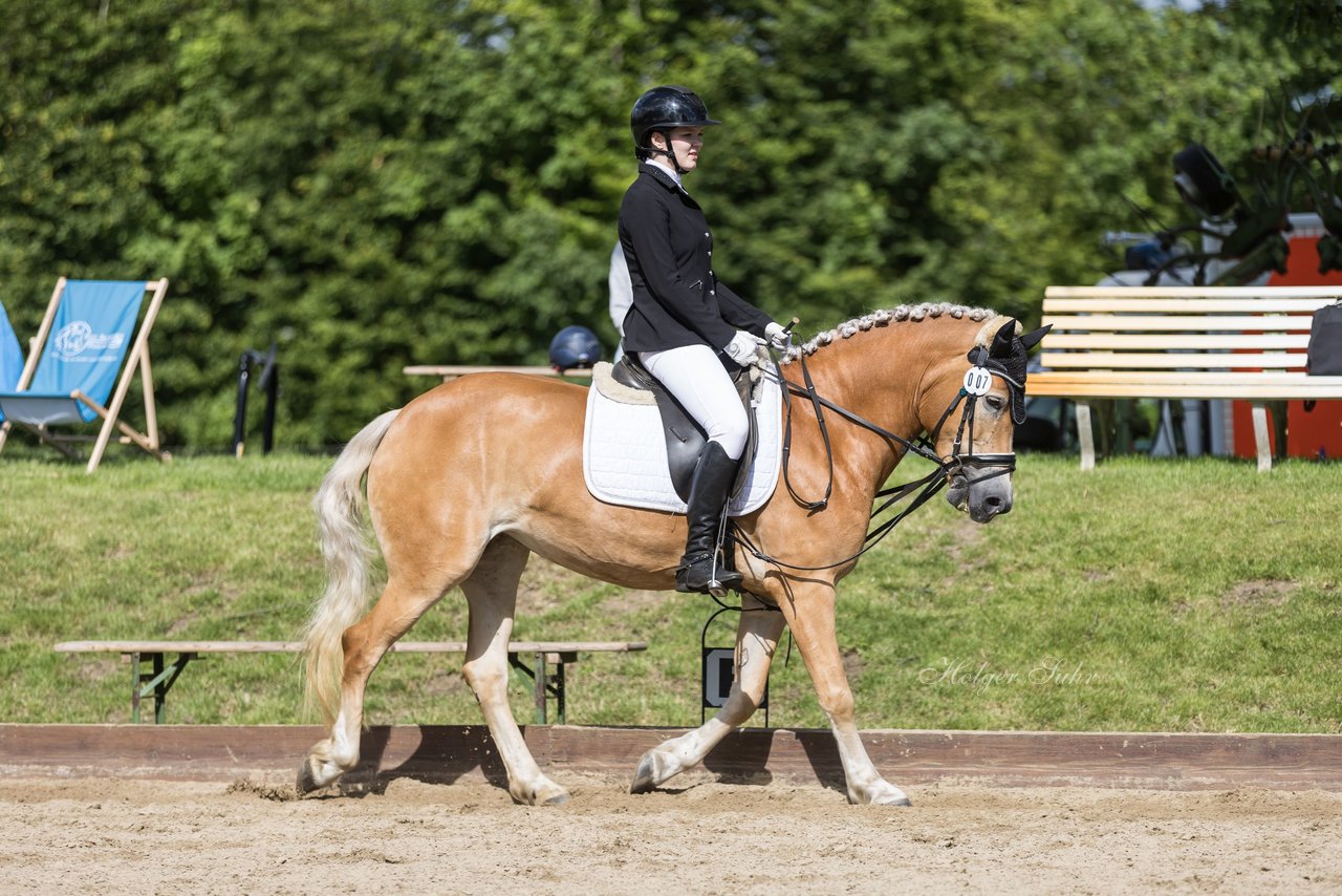 Bild 217 - Pony Akademie Turnier